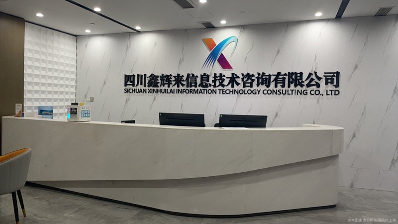 上海陇盛实业有限公司：从历史到未来